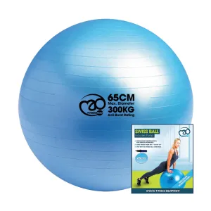 Fitness Mad Studio Swiss Ball, Pump & Online Guide - 65cm