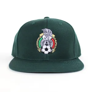 Mexico Crest Snapback Hat (Green Green Under Brim)